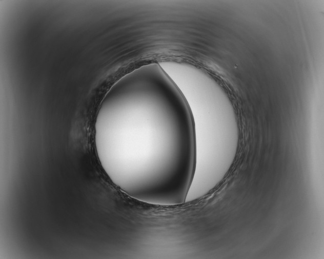 X0000089390822200706150929