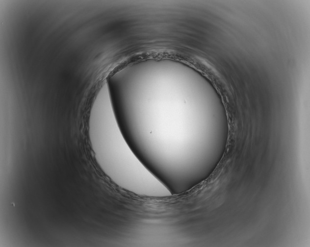 X0000089390823200706150929