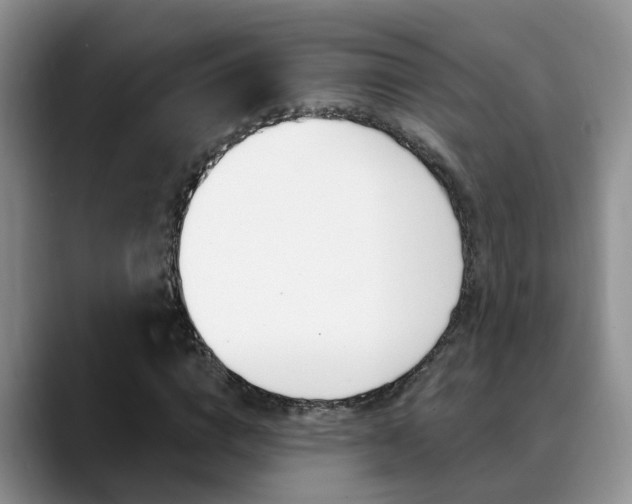 X0000089390824200706150929