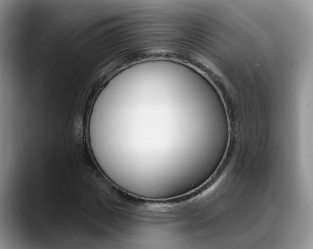 X0000089390825200706150929