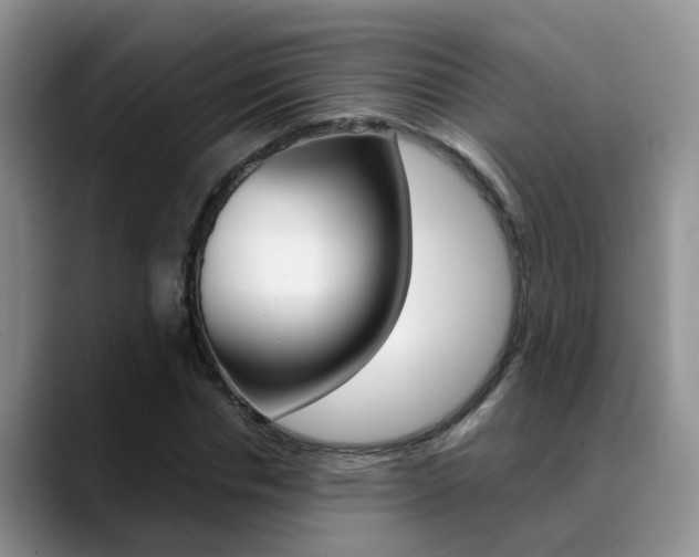 X0000089390826200706150929