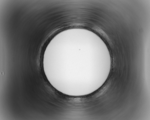 X0000089390828200706150929