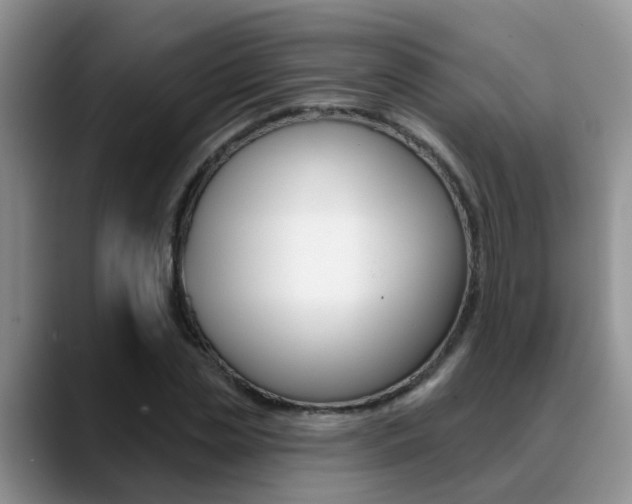X0000089390829200706150929