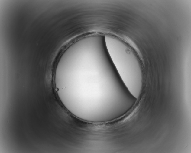 X0000089390831200706150929