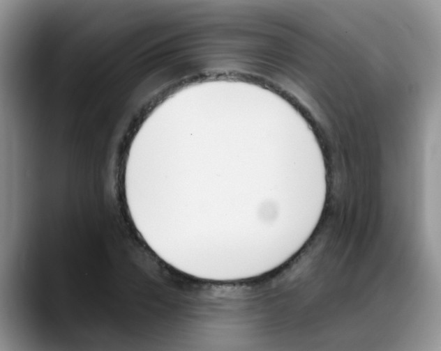 X0000089390832200706150929