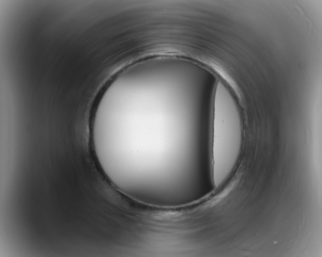 X0000089390837200706150929