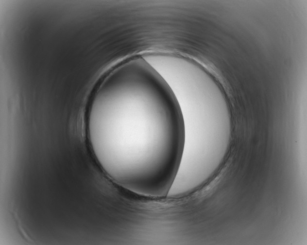 X0000089390838200706150929