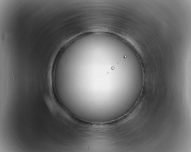 X0000089390840200706150930