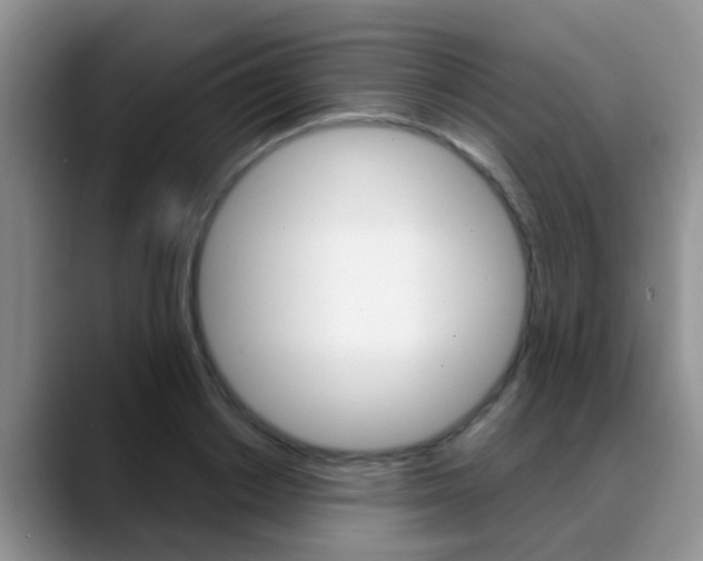 X0000089390842200706150930