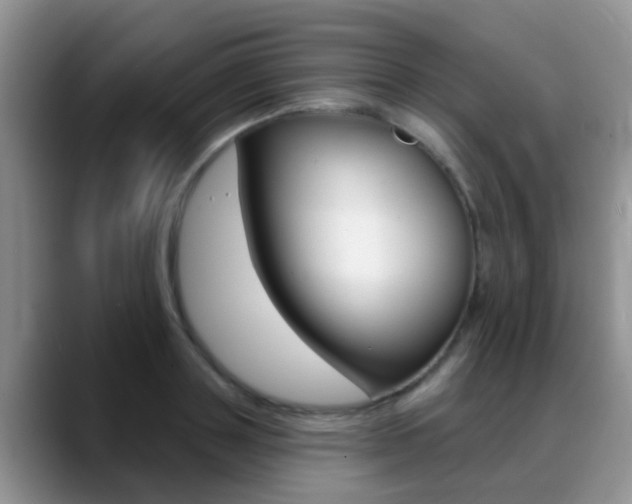 X0000089390843200706150930