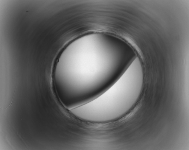 X0000089390845200706150930