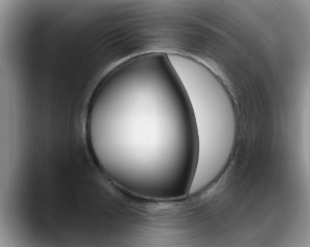 X0000089390846200706150930
