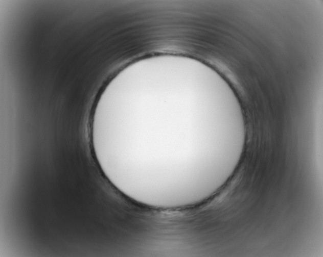 X0000089390848200706150930
