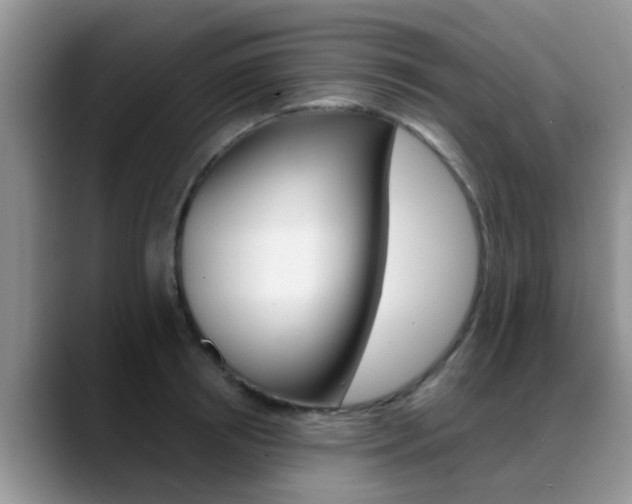 X0000089390850200706150930