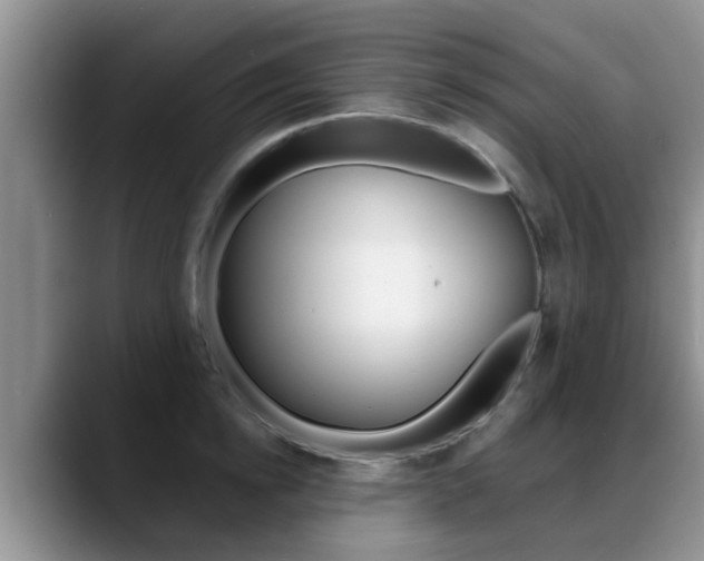 X0000089390854200706150930