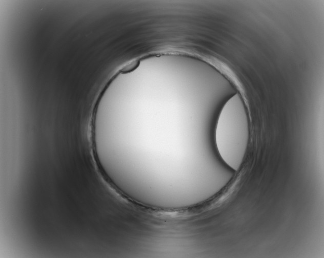 X0000089390855200706150930