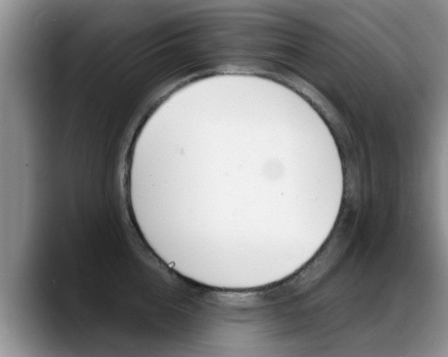 X0000089390856200706150930