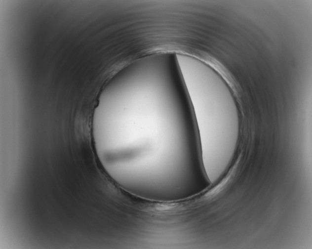 X0000089390857200706150930