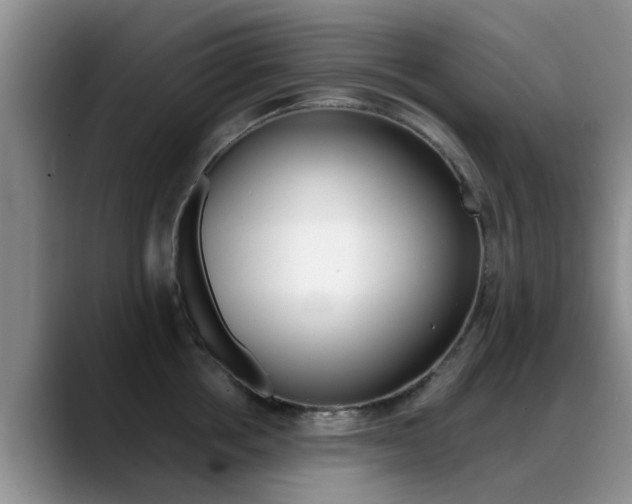 X0000089390858200706150930
