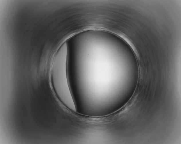 X0000089390861200706150930