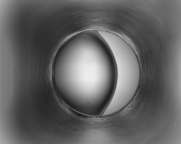 X0000089390862200706150930