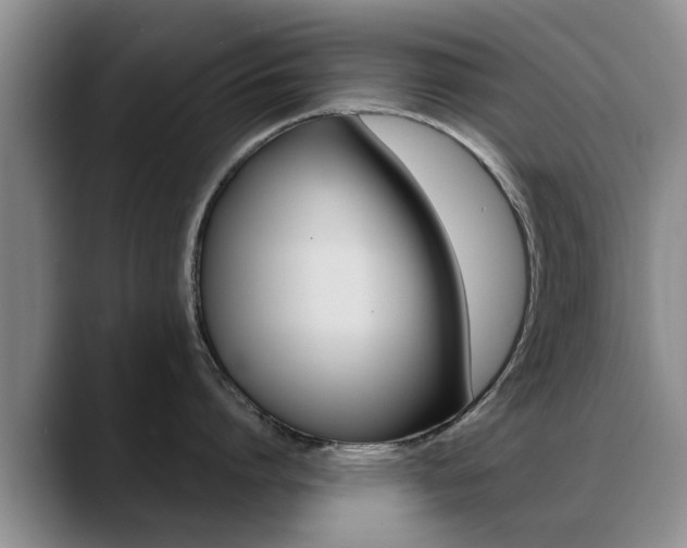 X0000089390864200706150930