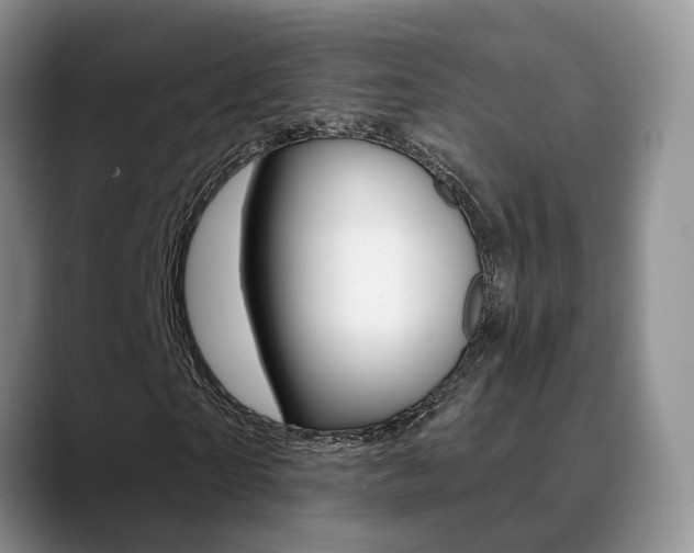X0000089390865200706150929