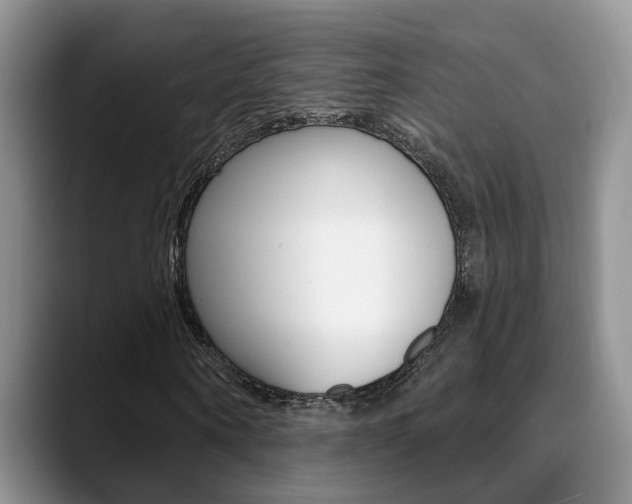 X0000089390866200706150929
