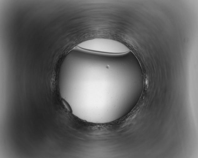 X0000089390867200706150929