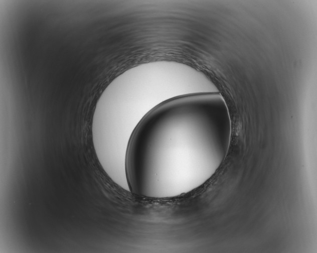 X0000089390868200706150929