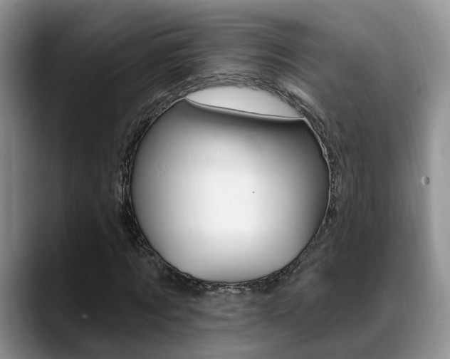 X0000089390869200706150929