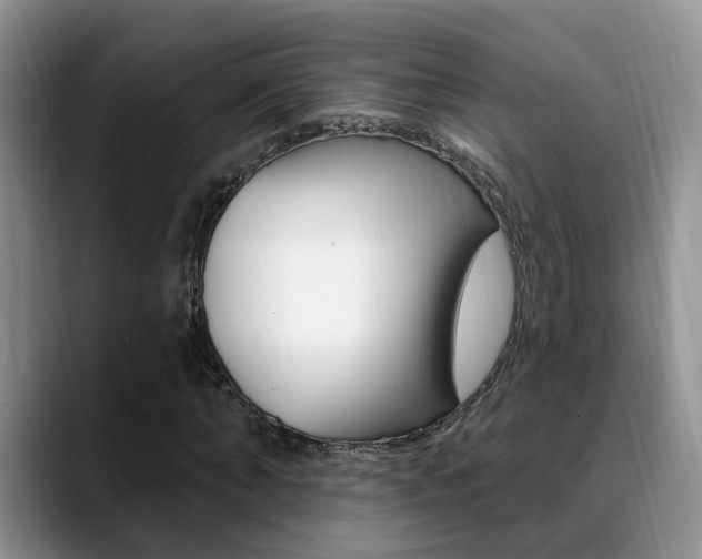 X0000089390870200706150929