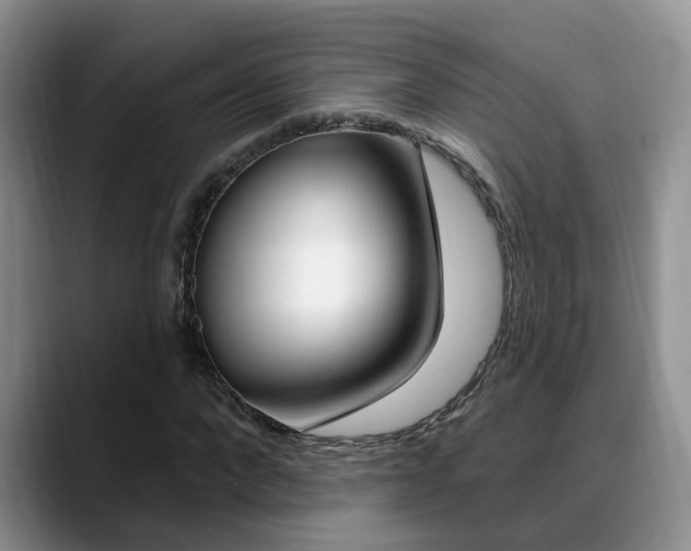 X0000089390872200706150929
