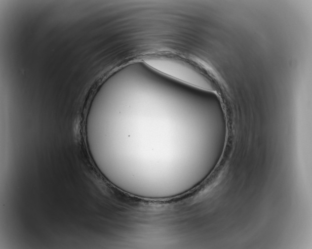 X0000089390873200706150929