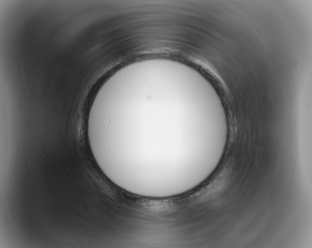 X0000089390874200706150929