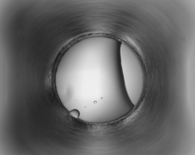 X0000089390875200706150929