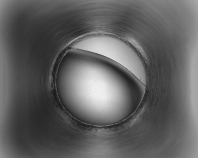 X0000089390876200706150929