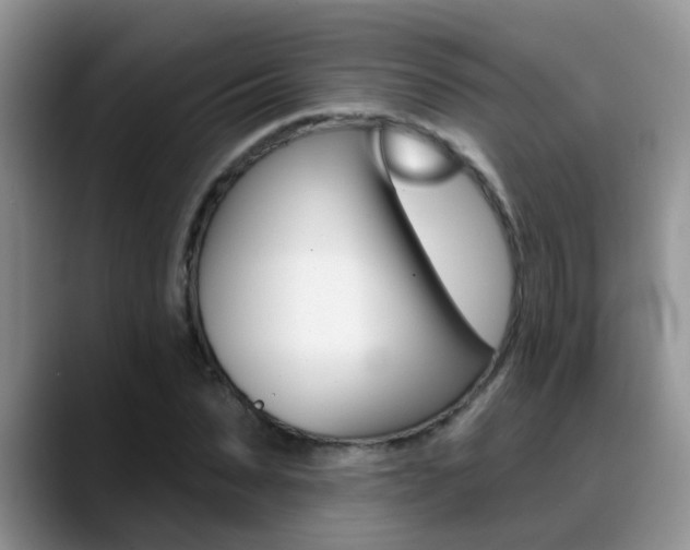 X0000089390879200706150929
