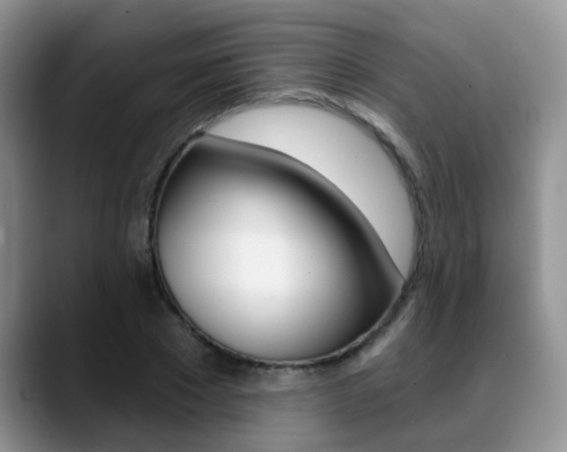 X0000089390881200706150929
