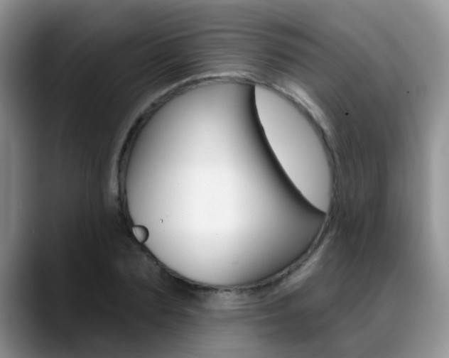 X0000089390883200706150929
