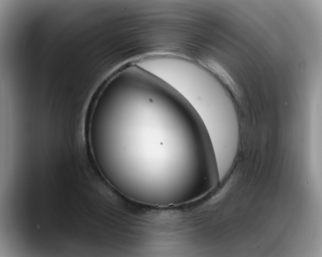 X0000089390884200706150929