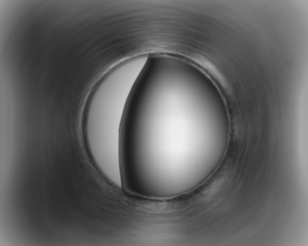 X0000089390885200706150929