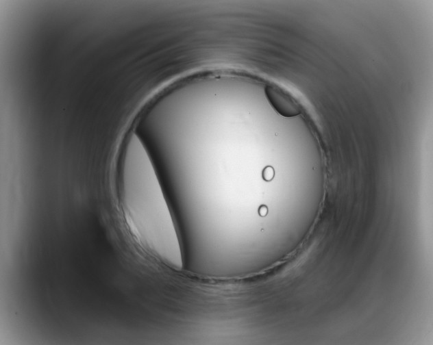 X0000089390887200706150929