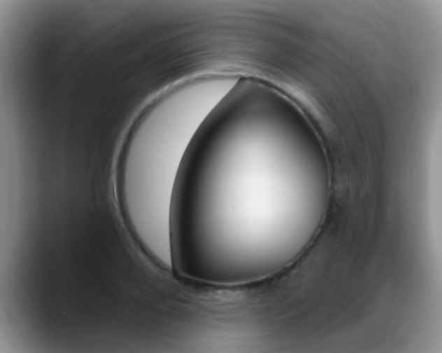 X0000089390888200706150929