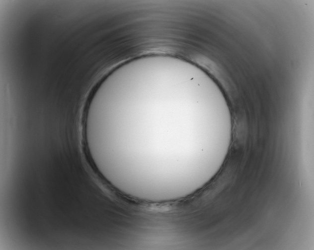X0000089390890200706150929