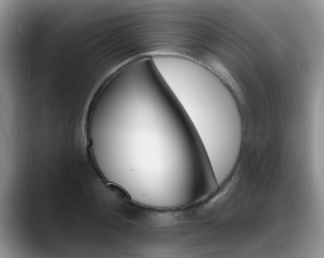 X0000089390892200706150929