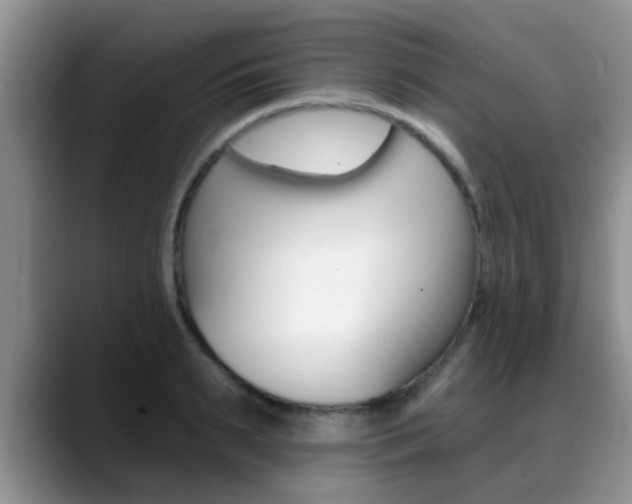X0000089390895200706150929