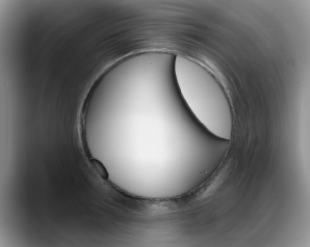 X0000089390899200706150929