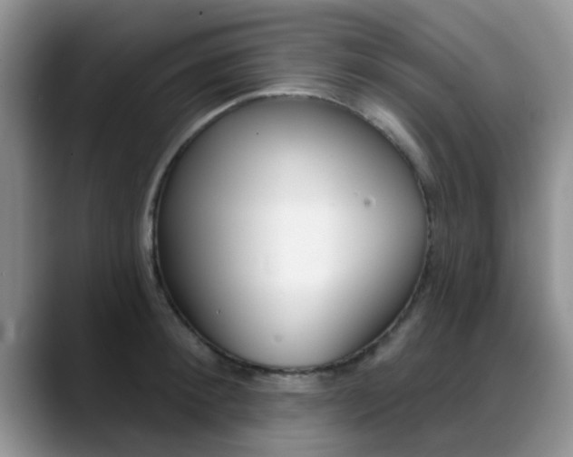 X0000089390900200706150929