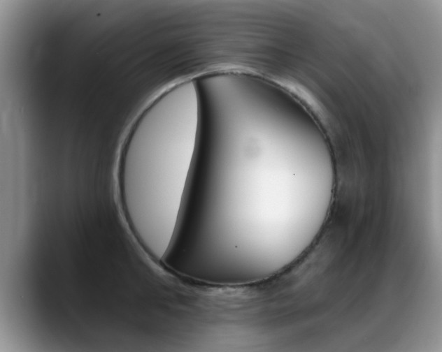 X0000089390902200706150929